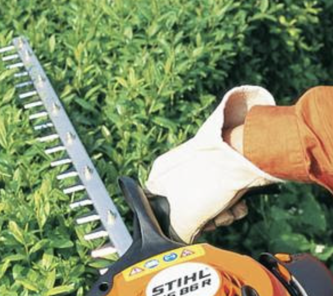 Élagueur grimpeur travaillant en sécurité sur un arbre